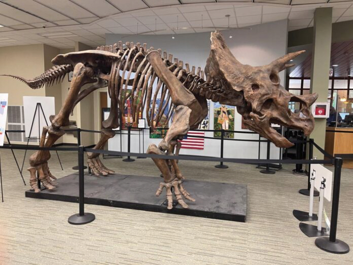 Clover-A-dinosaur-exhibit-from-the-VMNH-may-be-viewed-at-the-Waynesboro-Public-Library.-Photo_-Clover-Carroll
